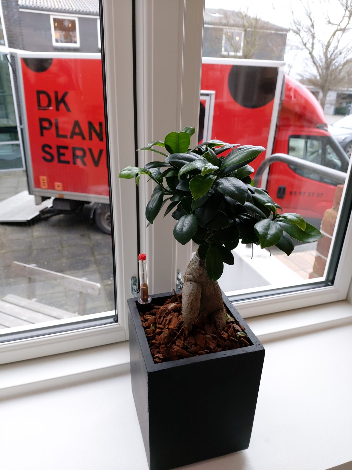 JDM Odense plantelevering