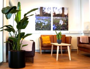Morningscore lounge med planter og naturbilleder