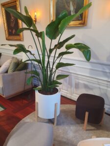 3daysofdesign festival 2023
