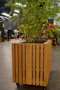 Building green Squarely plantekasse med hjul