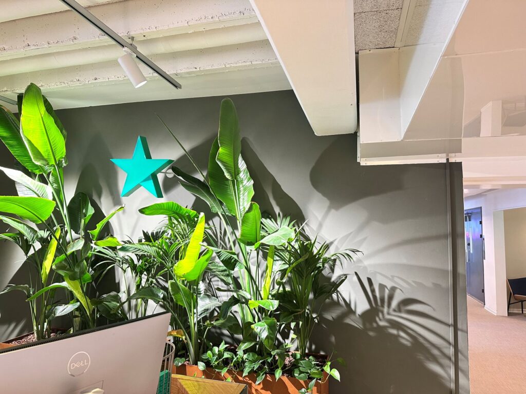 Trustpilot kontorplanter