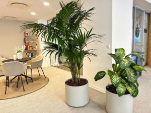 Trustpilot planter kontor